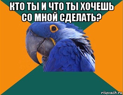 кто ты и что ты хочешь со мной сделать? , Мем Попугай параноик