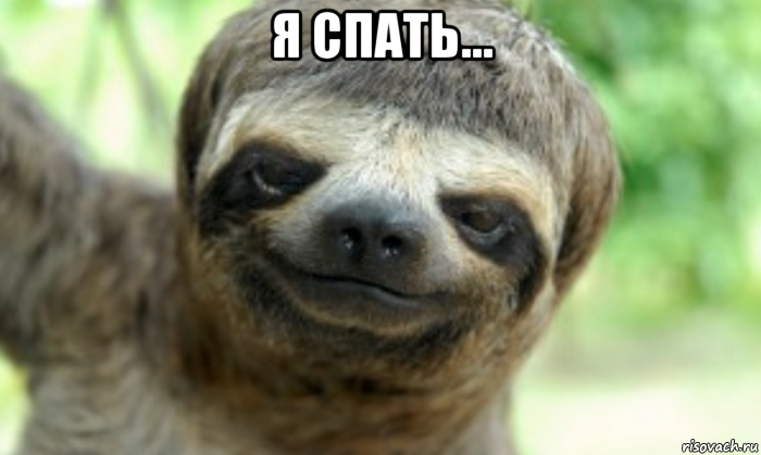 я спать... 