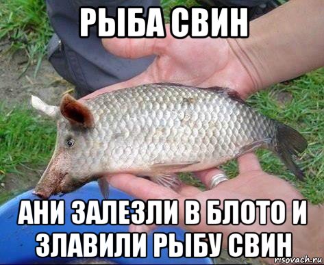 Проститутка Рыбка Краснодар