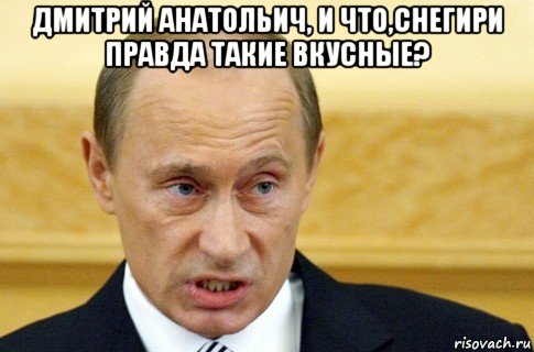 дмитрий анатольич, и что,снегири правда такие вкусные? , Мем путин