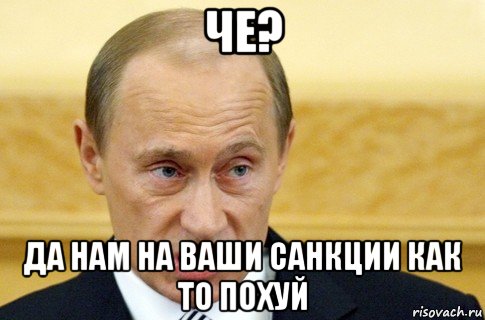 че? да нам на ваши санкции как то похуй, Мем путин