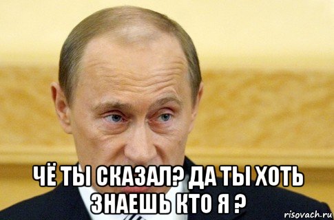  чё ты сказал? да ты хоть знаешь кто я ?, Мем путин