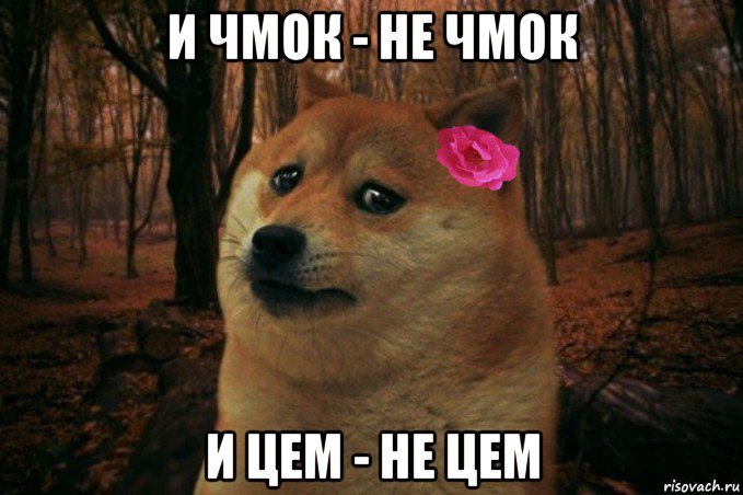 и чмок - не чмок и цем - не цем, Мем  SAD DOGE GIRL