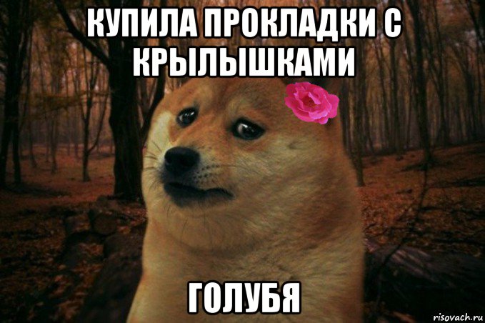 купила прокладки с крылышками голубя, Мем  SAD DOGE GIRL