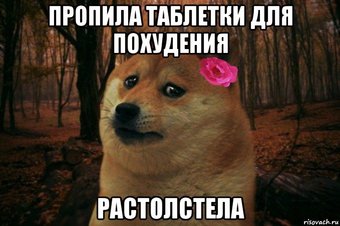 пропила таблетки для похудения растолстела, Мем  SAD DOGE GIRL