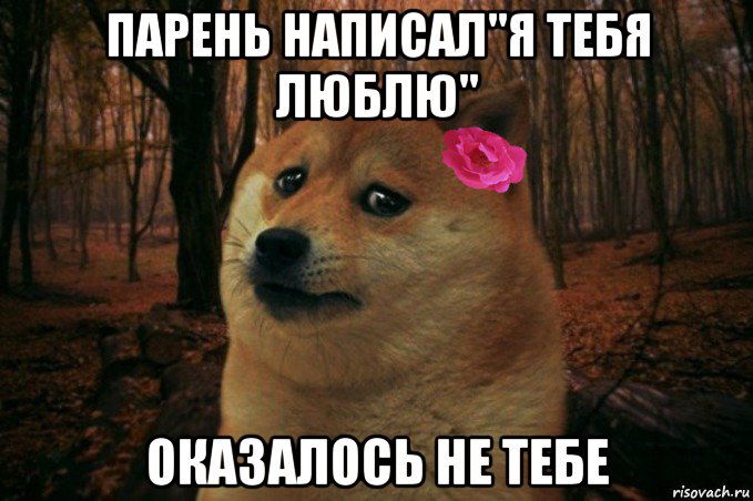 парень написал"я тебя люблю" оказалось не тебе, Мем  SAD DOGE GIRL