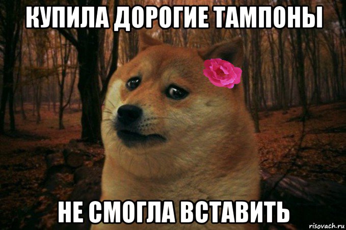 купила дорогие тампоны не смогла вставить, Мем  SAD DOGE GIRL