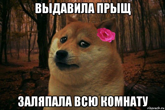 выдавила прыщ заляпала всю комнату, Мем  SAD DOGE GIRL