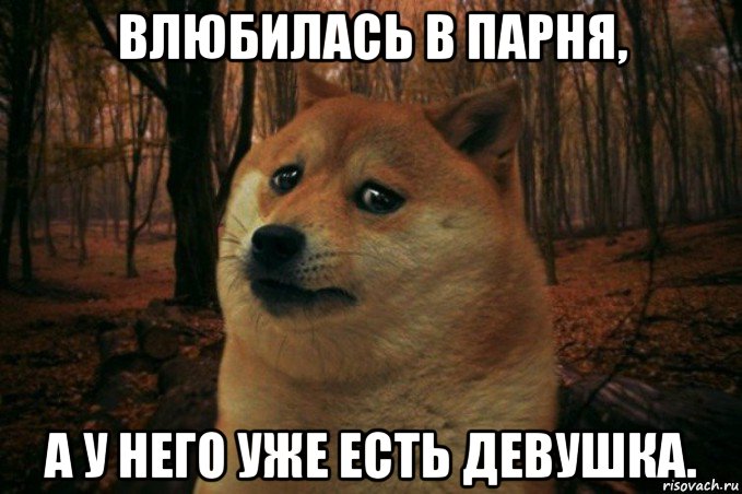 влюбилась в парня, а у него уже есть девушка., Мем SAD DOGE