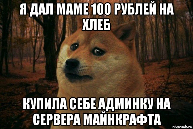 я дал маме 100 рублей на хлеб купила себе админку на сервера майнкрафта