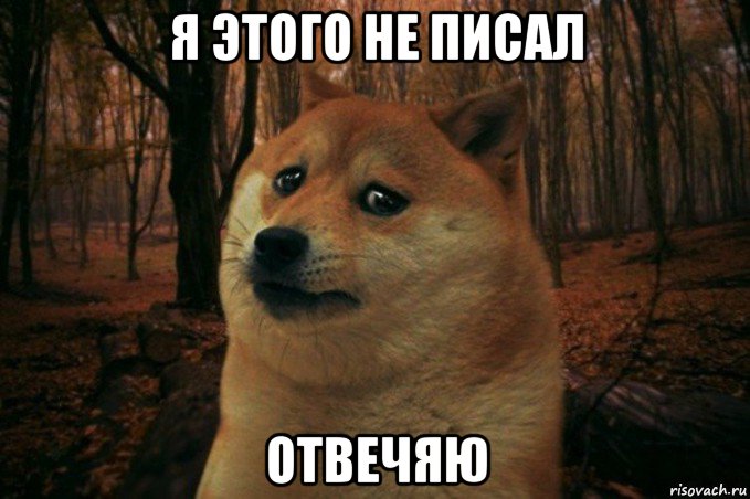 я этого не писал отвечяю, Мем SAD DOGE