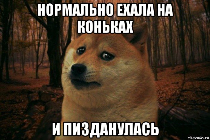 нормально ехала на коньках и пизданулась, Мем SAD DOGE