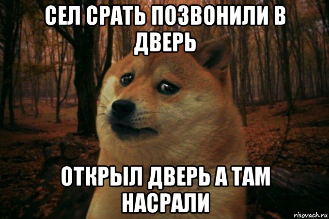 сел срать позвонили в дверь открыл дверь а там насрали, Мем SAD DOGE