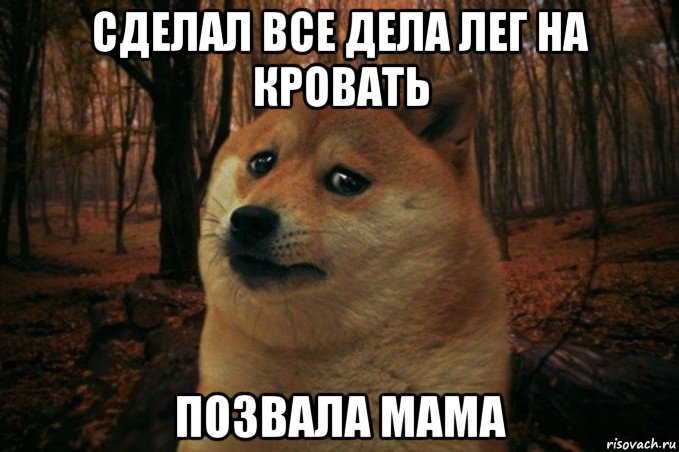 сделал все дела лег на кровать позвала мама, Мем SAD DOGE