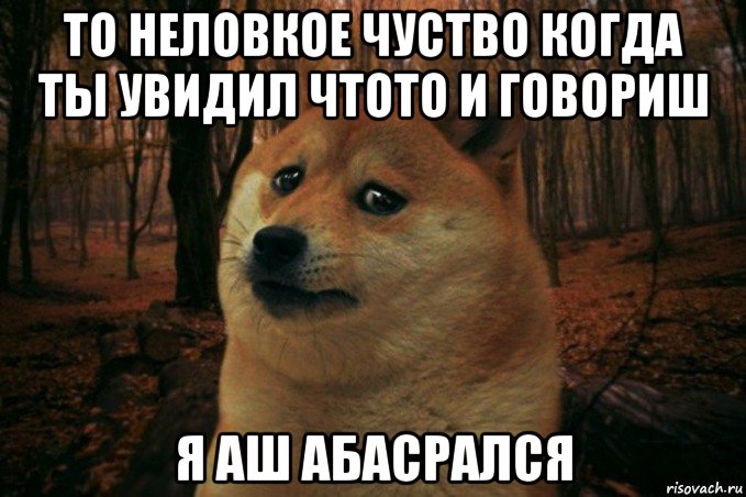 то неловкое чуство когда ты увидил чтото и говориш я аш абасрался, Мем SAD DOGE