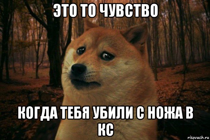 это то чувство когда тебя убили с ножа в кс, Мем SAD DOGE