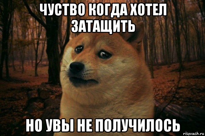 чуство когда хотел затащить но увы не получилось, Мем SAD DOGE