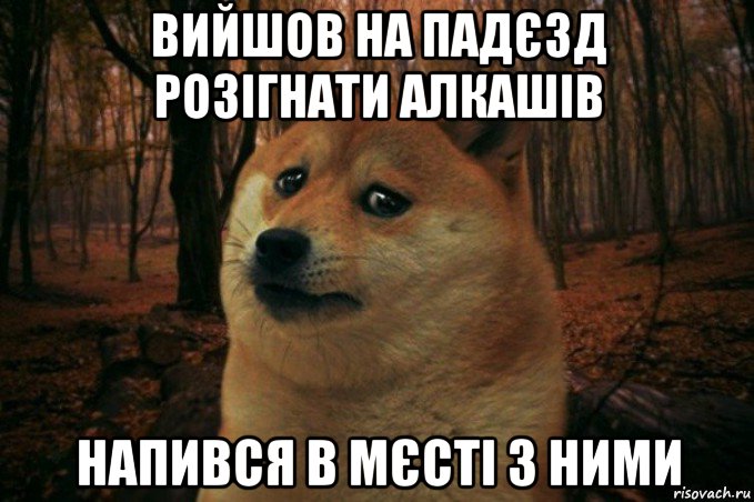 вийшов на падєзд розігнати алкашів напився в мєсті з ними, Мем SAD DOGE