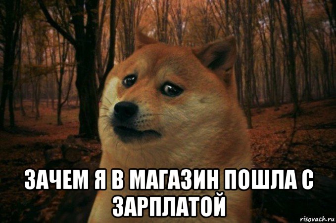  зачем я в магазин пошла с зарплатой, Мем SAD DOGE