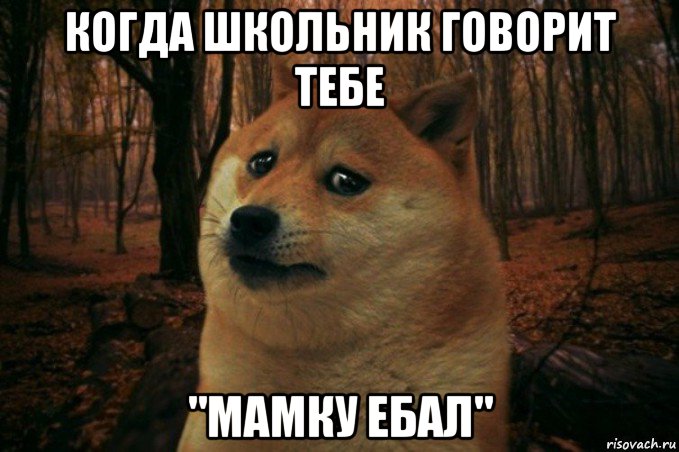 когда школьник говорит тебе "мамку ебал", Мем SAD DOGE