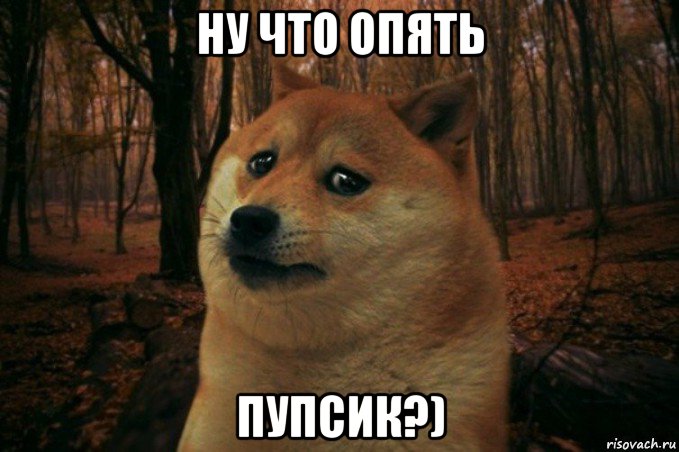 ну что опять пупсик?), Мем SAD DOGE