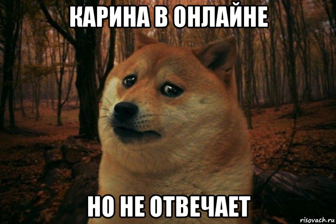 карина в онлайне но не отвечает, Мем SAD DOGE