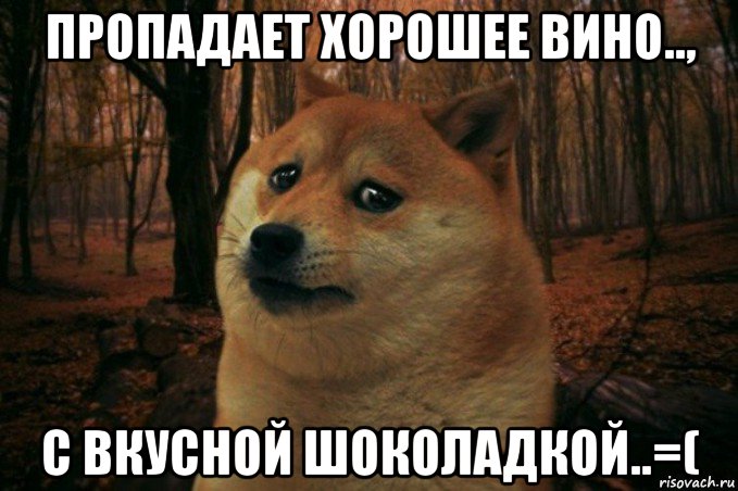 пропадает хорошее вино.., с вкусной шоколадкой..=(, Мем SAD DOGE