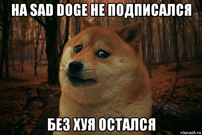 на sad doge не подписался без хуя остался