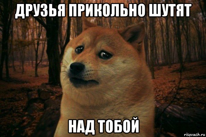 друзья прикольно шутят над тобой, Мем SAD DOGE