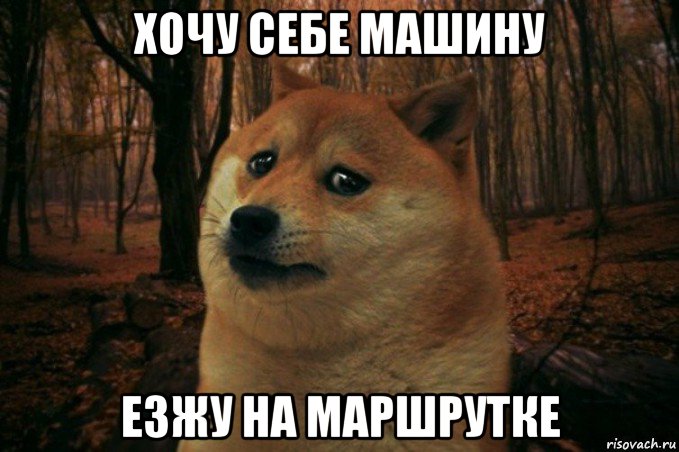 хочу себе машину езжу на маршрутке, Мем SAD DOGE