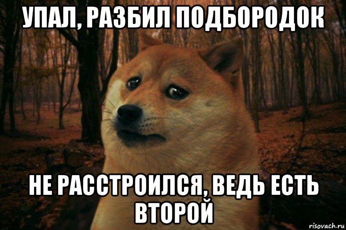 упал, разбил подбородок не расстроился, ведь есть второй, Мем SAD DOGE