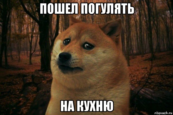 пошел погулять на кухню, Мем SAD DOGE