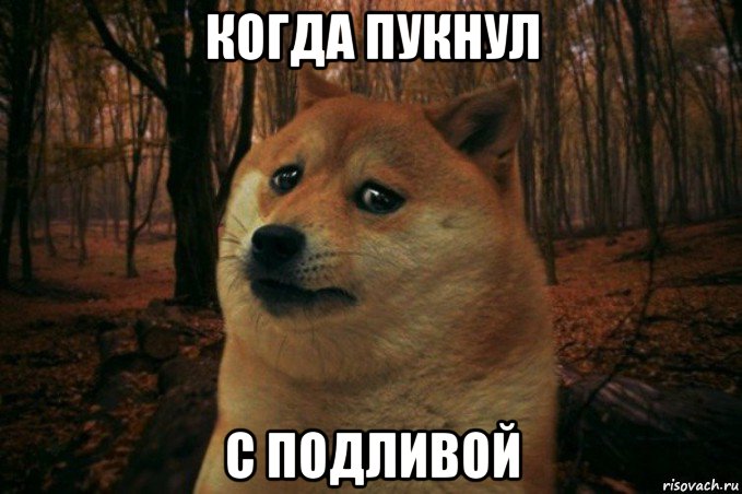 когда пукнул с подливой, Мем SAD DOGE