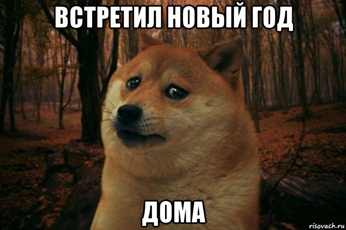 встретил новый год дома, Мем SAD DOGE