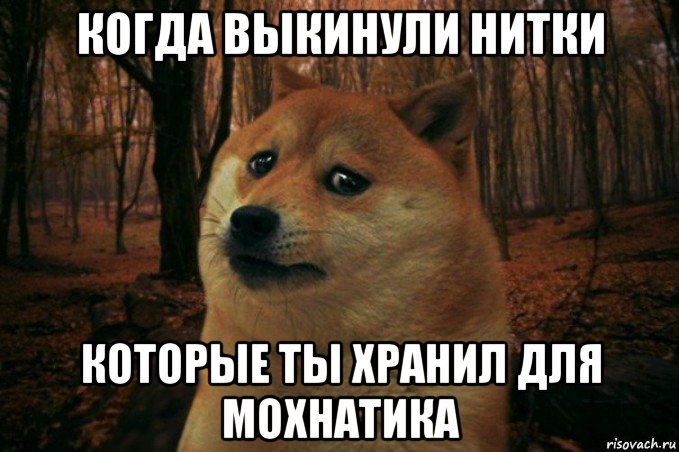 когда выкинули нитки которые ты хранил для мохнатика, Мем SAD DOGE