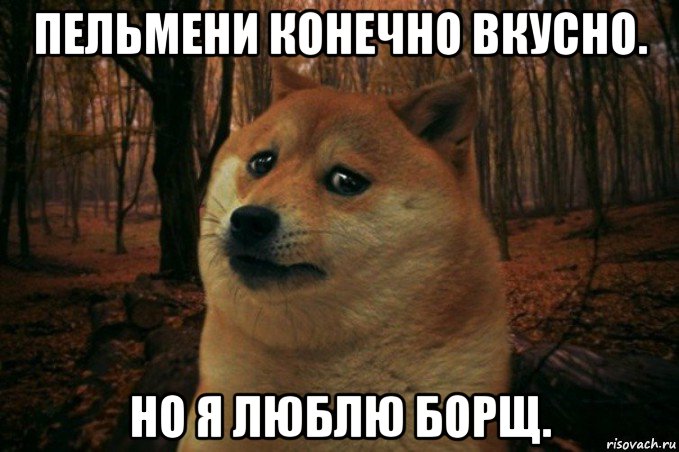 пельмени конечно вкусно. но я люблю борщ., Мем SAD DOGE