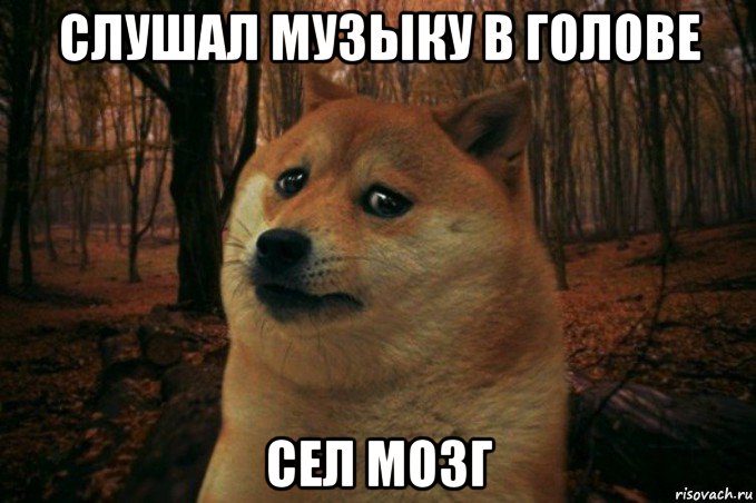 слушал музыку в голове сел мозг, Мем SAD DOGE