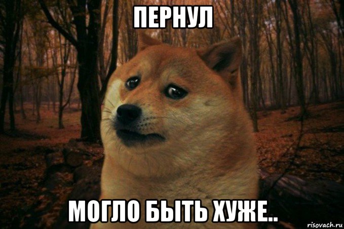 пернул могло быть хуже.., Мем SAD DOGE