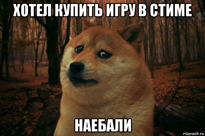 хотел купить игру в стиме наебали, Мем SAD DOGE