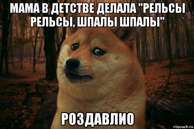 мама в детстве делала "рельсы рельсы, шпалы шпалы" роздавлио, Мем SAD DOGE