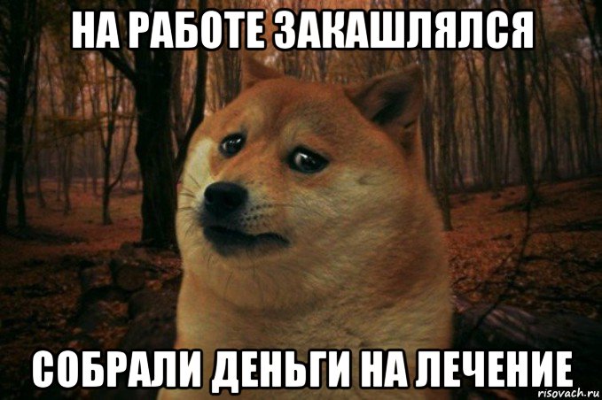 на работе закашлялся собрали деньги на лечение, Мем SAD DOGE