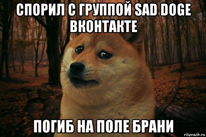 спорил с группой sad doge вконтакте погиб на поле брани, Мем SAD DOGE