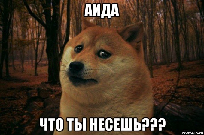 аида что ты несешь???, Мем SAD DOGE