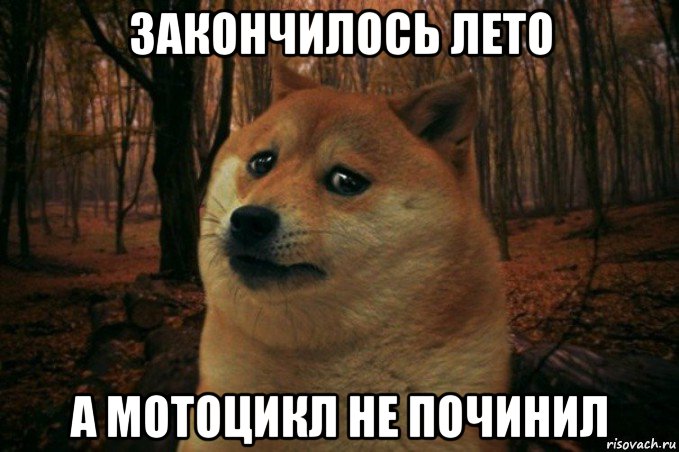 закончилось лето а мотоцикл не починил, Мем SAD DOGE