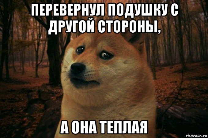 перевернул подушку с другой стороны, а она теплая, Мем SAD DOGE