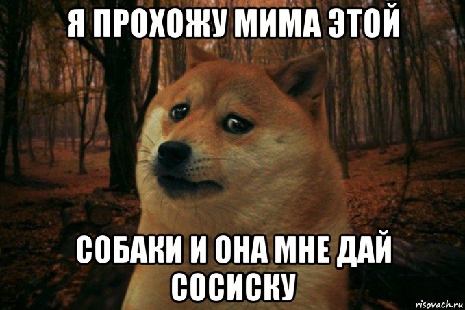 я прохожу мима этой собаки и она мне дай сосиску, Мем SAD DOGE