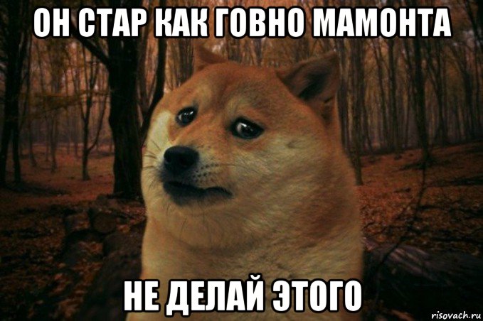 он стар как говно мамонта не делай этого, Мем SAD DOGE