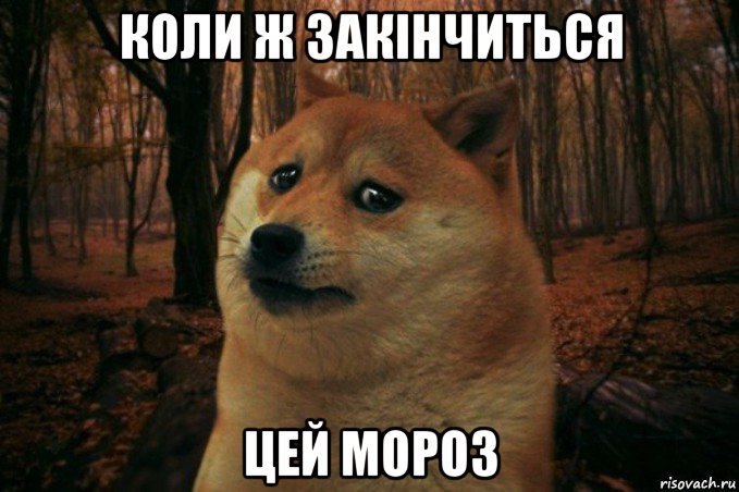 коли ж закінчиться цей мороз, Мем SAD DOGE