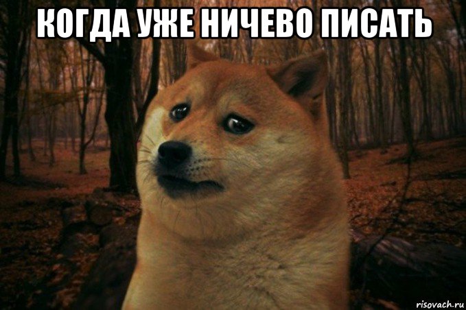 когда уже ничево писать , Мем SAD DOGE