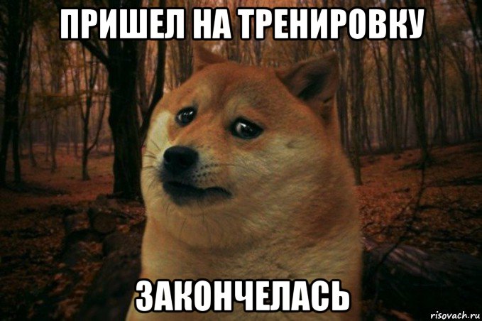 пришел на тренировку закончелась, Мем SAD DOGE